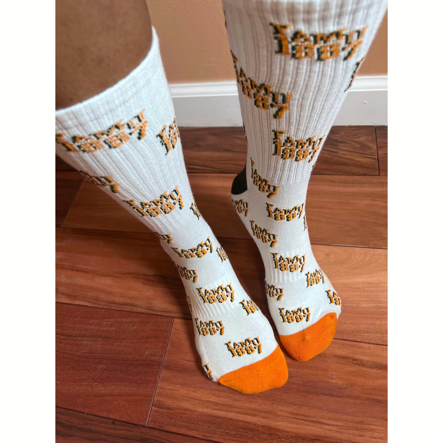 FAMU 1887 Unisex Socks - White