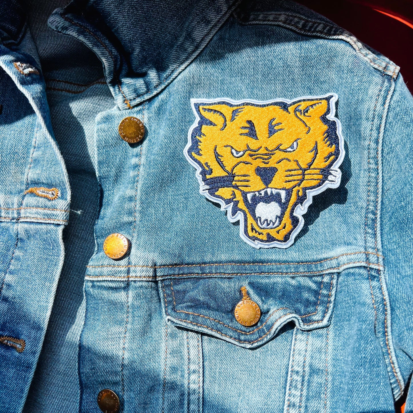 Fort Valley State University Iron On Patch