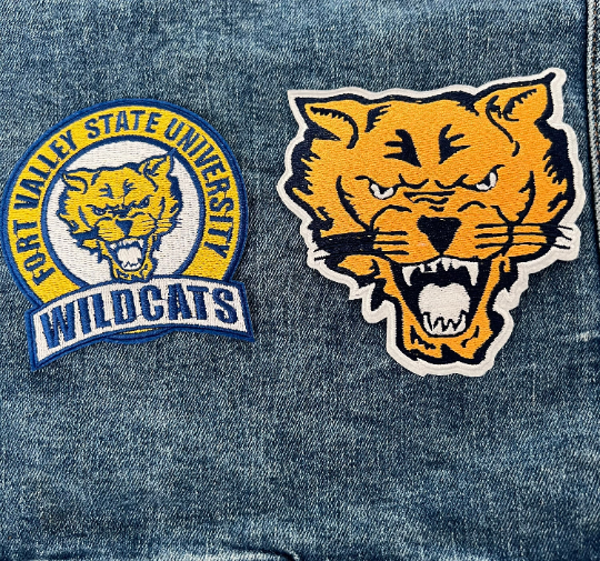 Fort Valley State University Iron On Patch (Bundle)