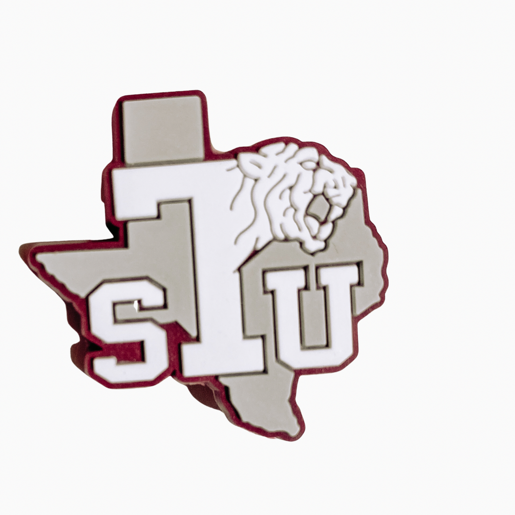 Texas Southern University The New Age Mom
